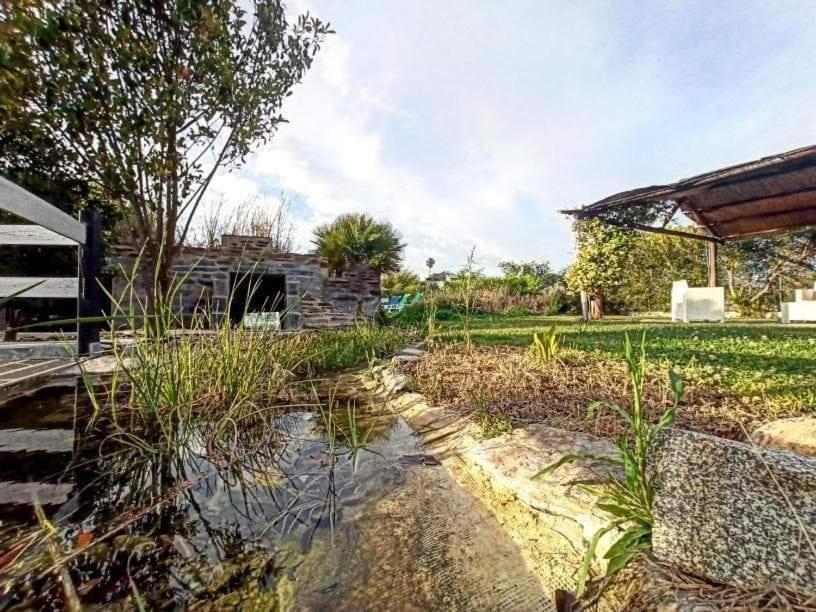 Lusitaurus Villa Montoito ภายนอก รูปภาพ