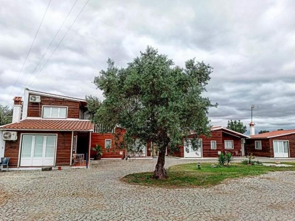 Lusitaurus Villa Montoito ภายนอก รูปภาพ